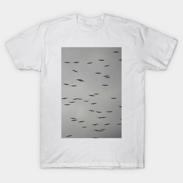 Birds in Flight on a Cloudy Day T-Shirt by elisewied